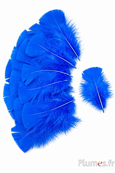 Kalkoen - 6-8 cm - turkoois